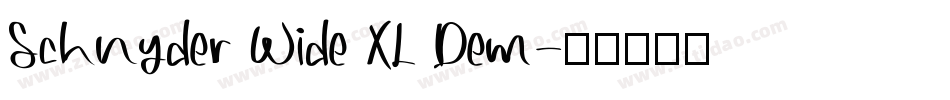 Schnyder Wide XL Dem字体转换